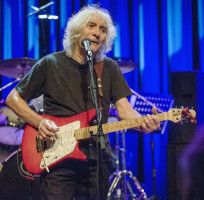 Albert Lee