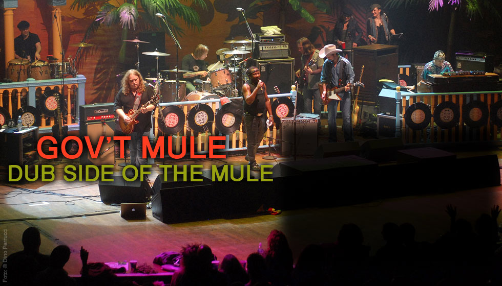 gov't mule