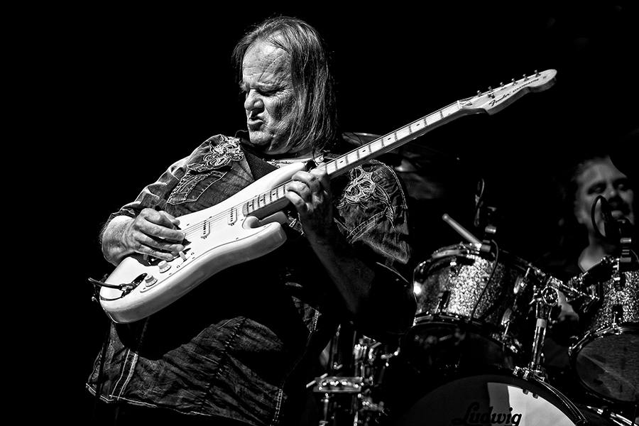 Walter Trout IMG_01-6391